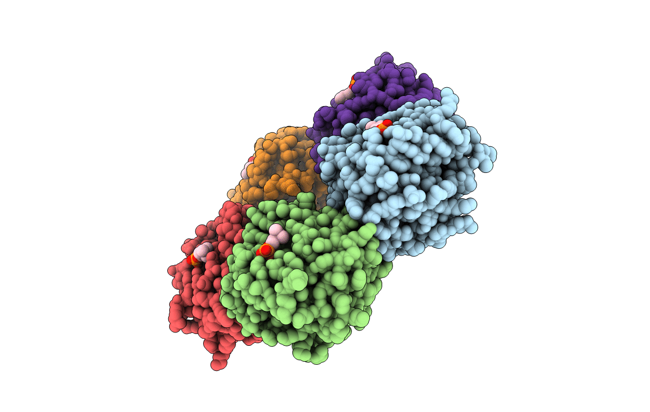 1B09 image