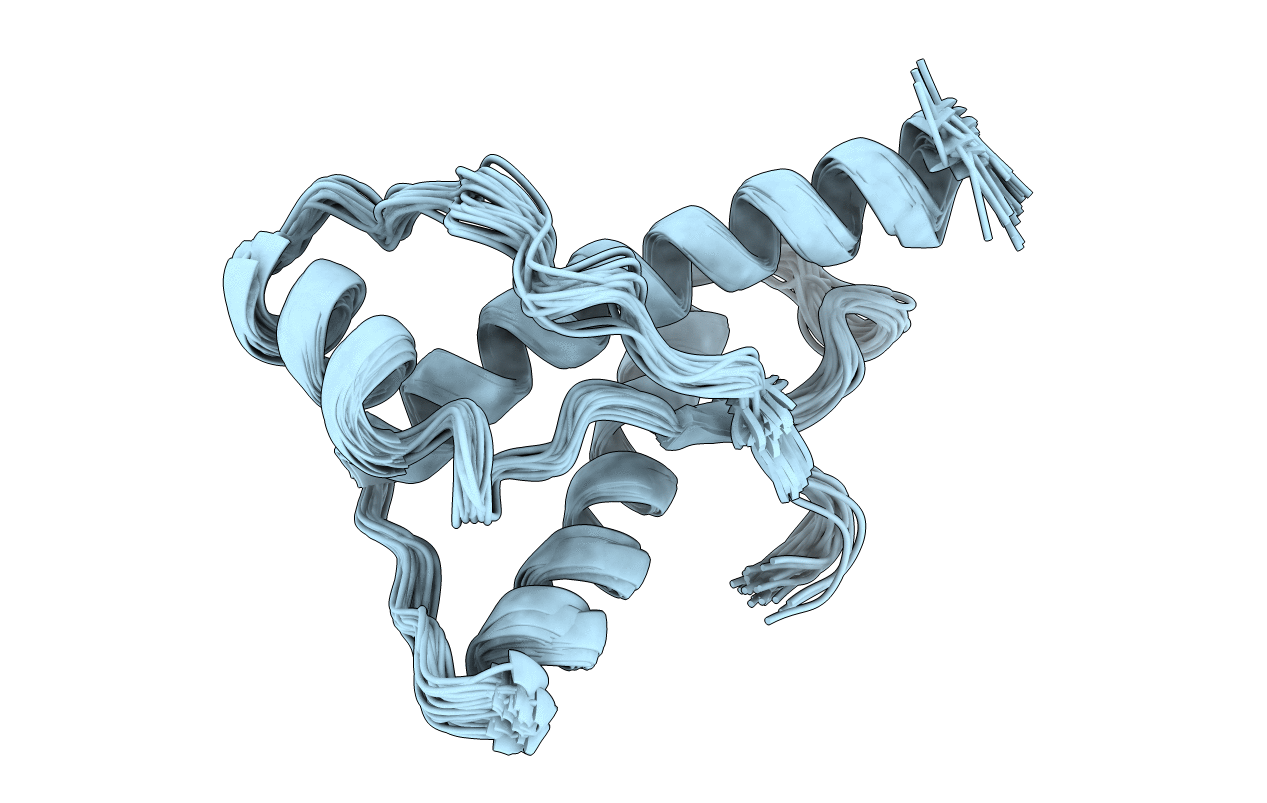 1B10 image