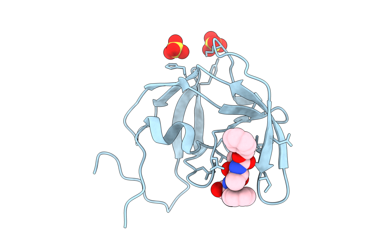 1B11 image