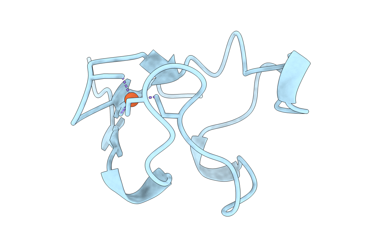 1B13 image