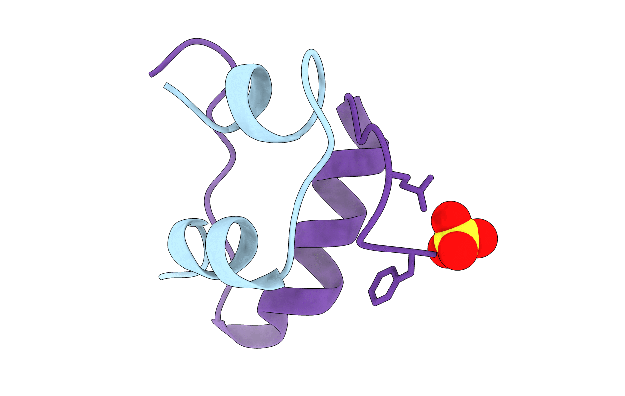 1B17 image