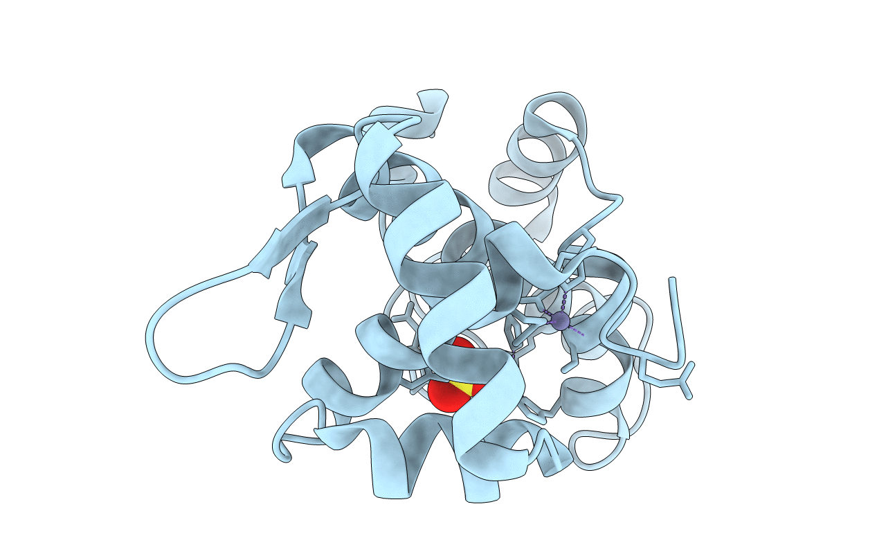 1B1B image