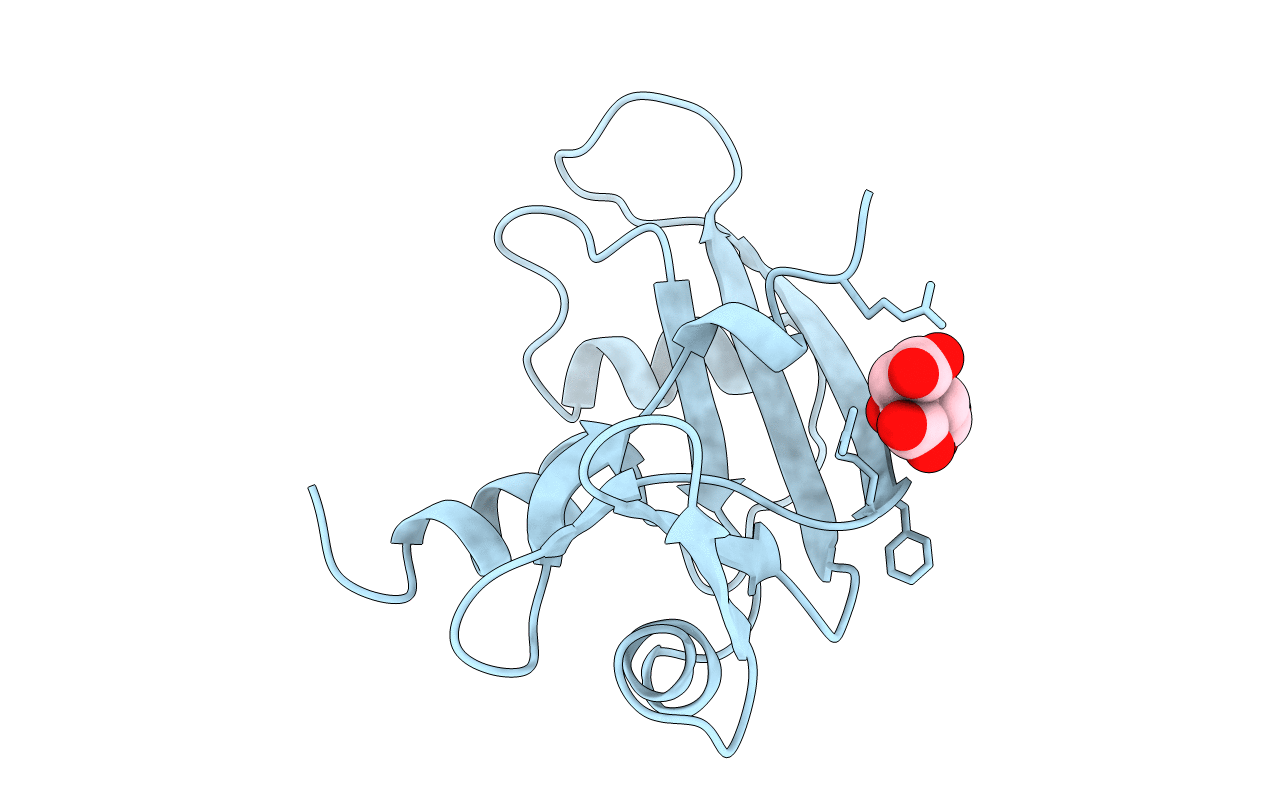 1B1E image