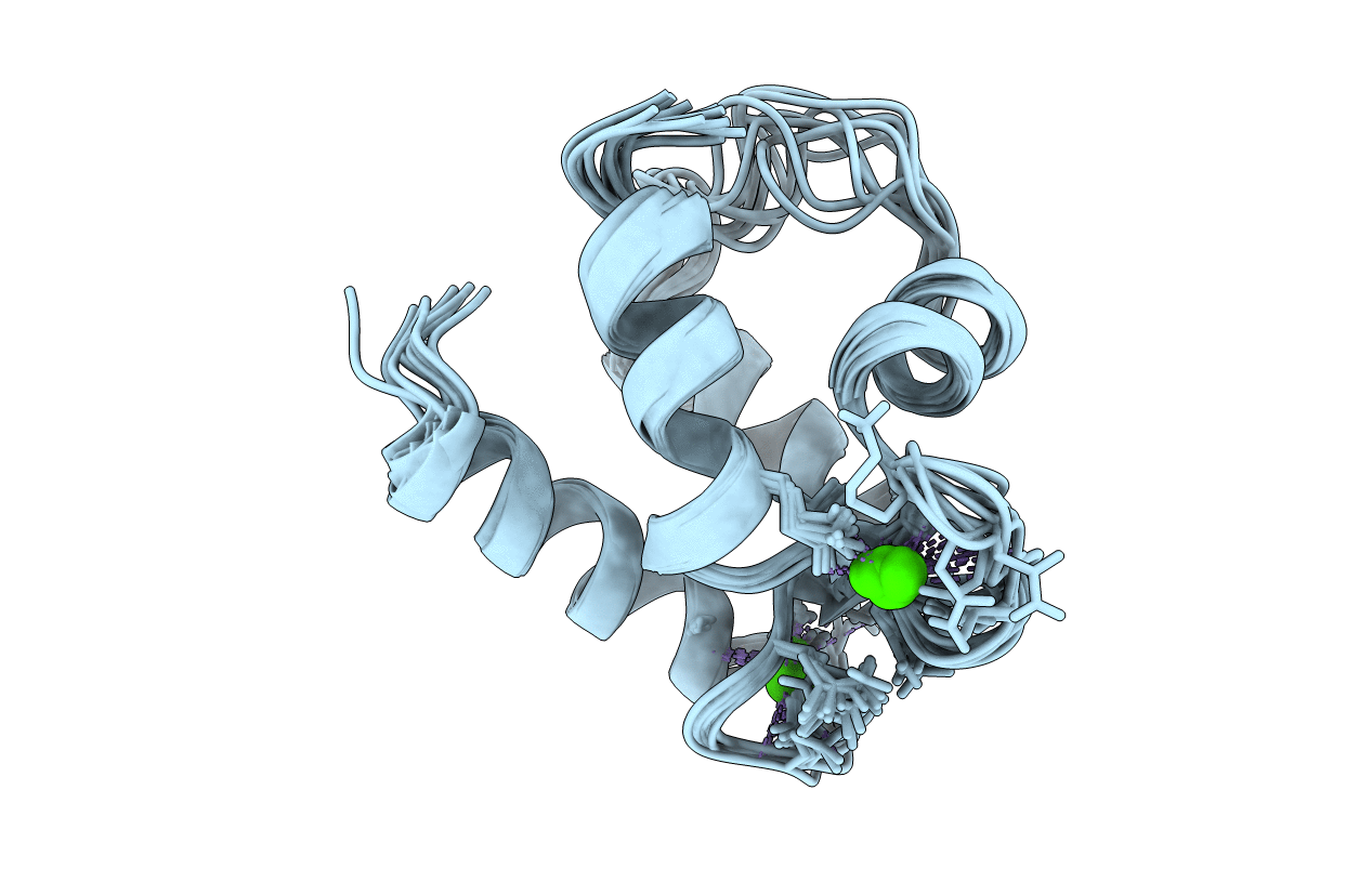 1B1G image