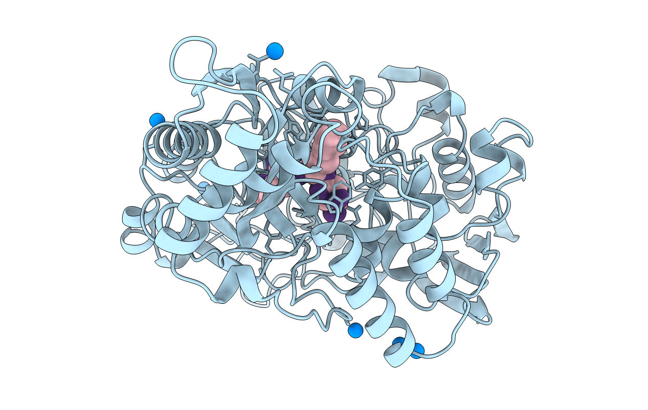1B1H image
