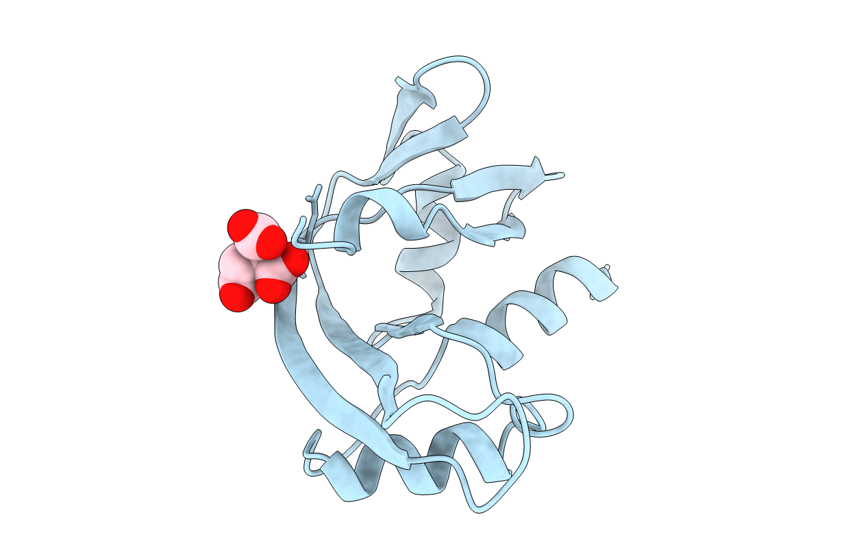 1B1I image