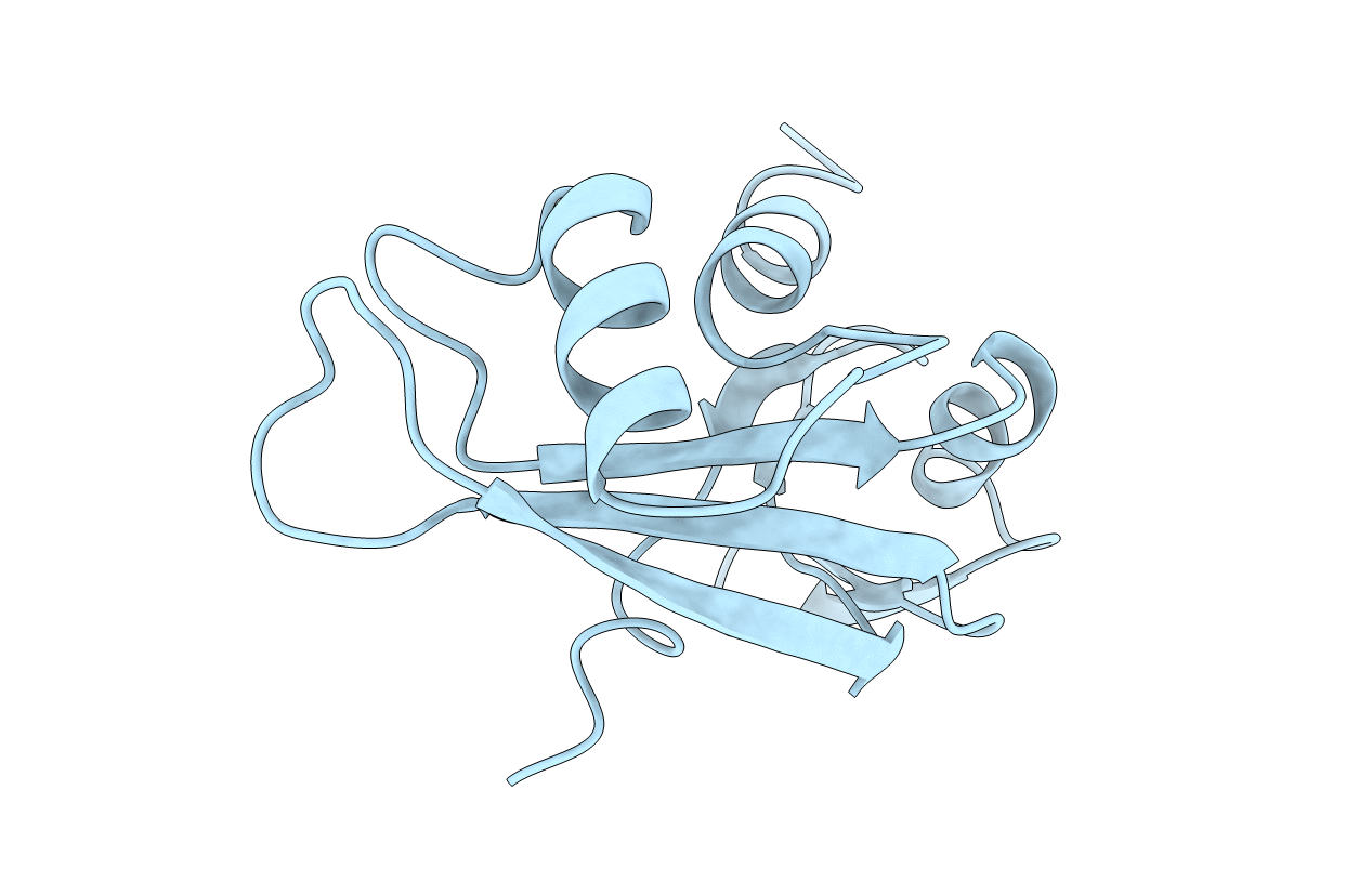 1B1J image