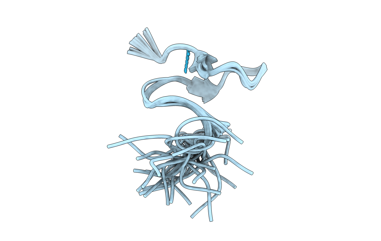 1B1V image