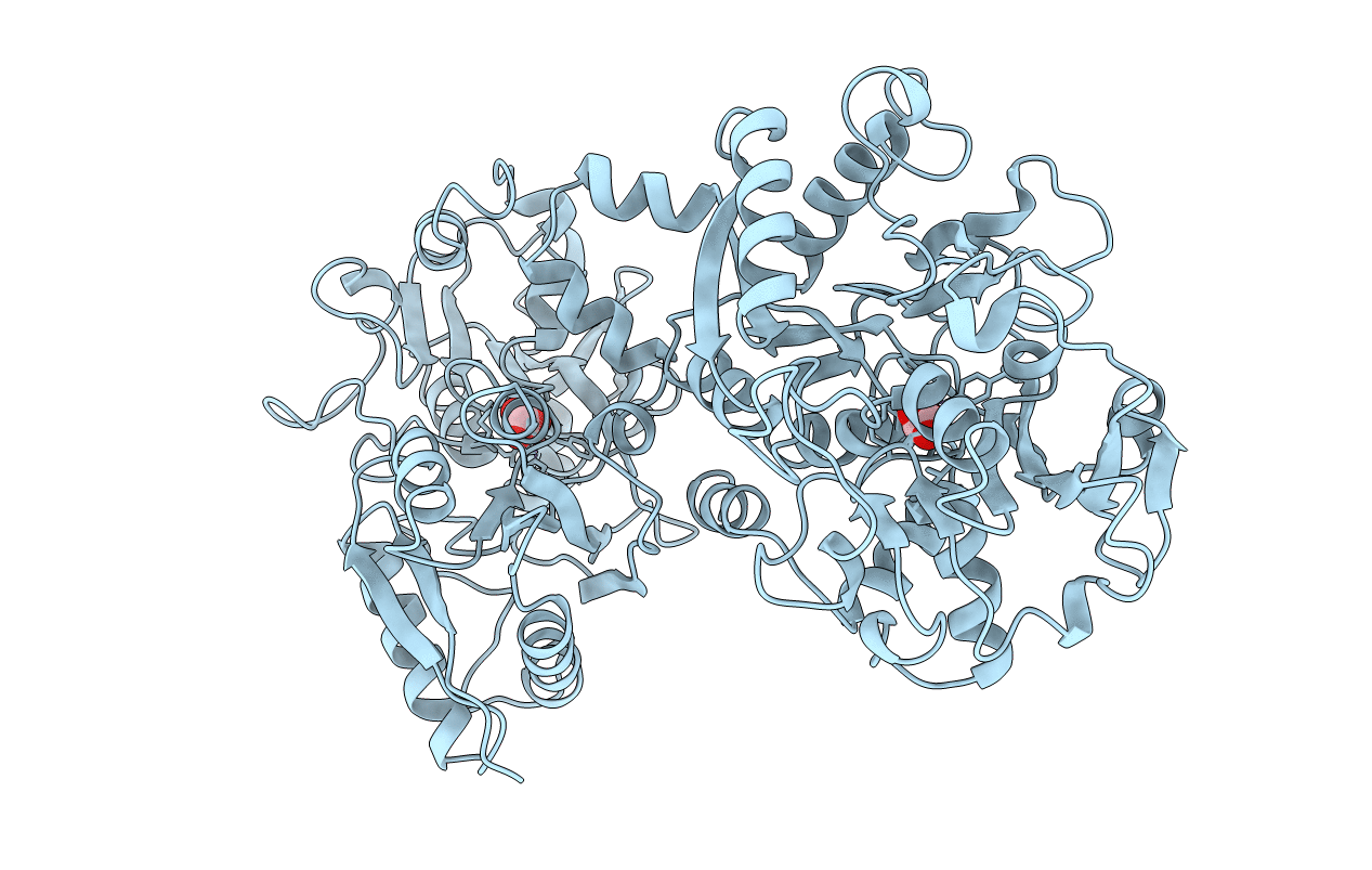 1B1X image