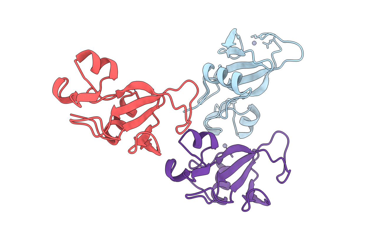 1B20 image
