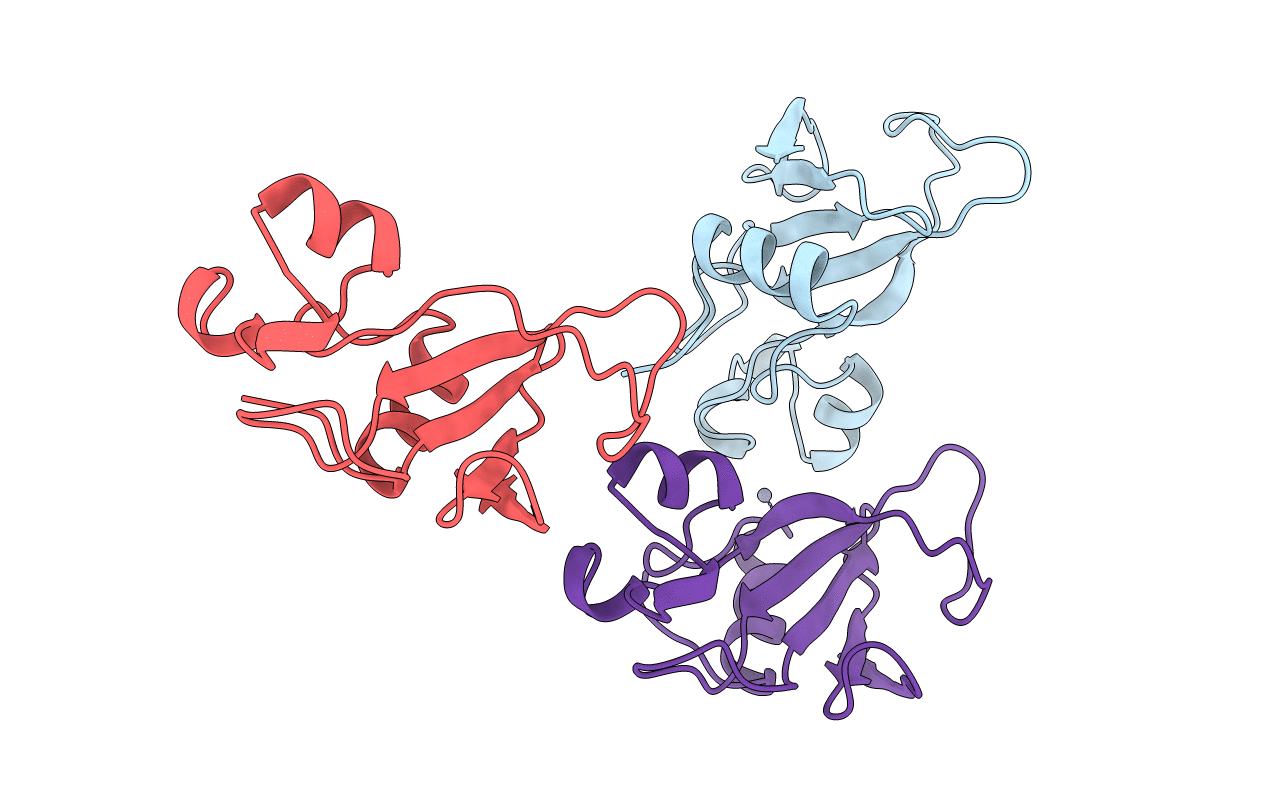 1B21 image