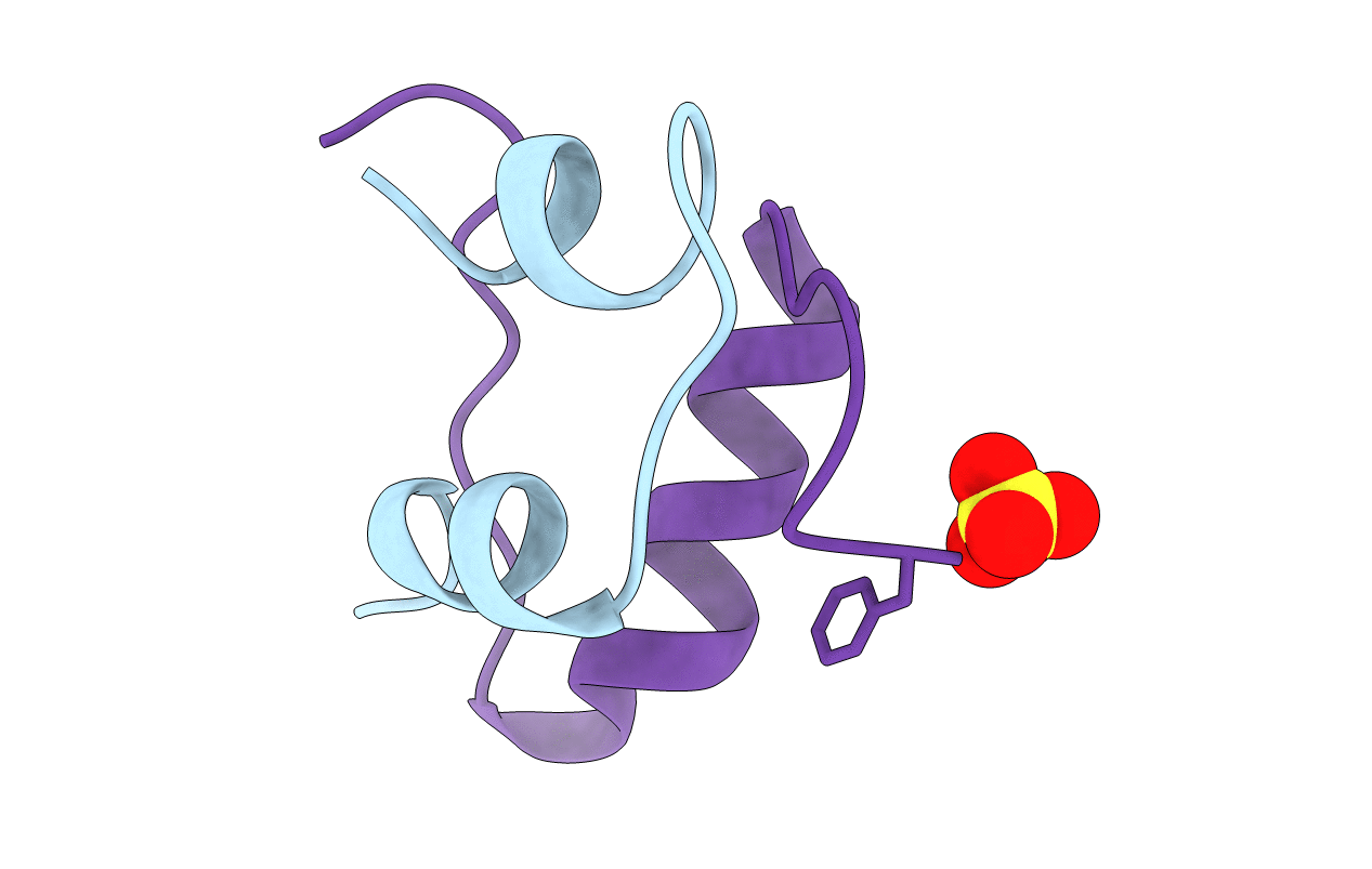 1B2B image