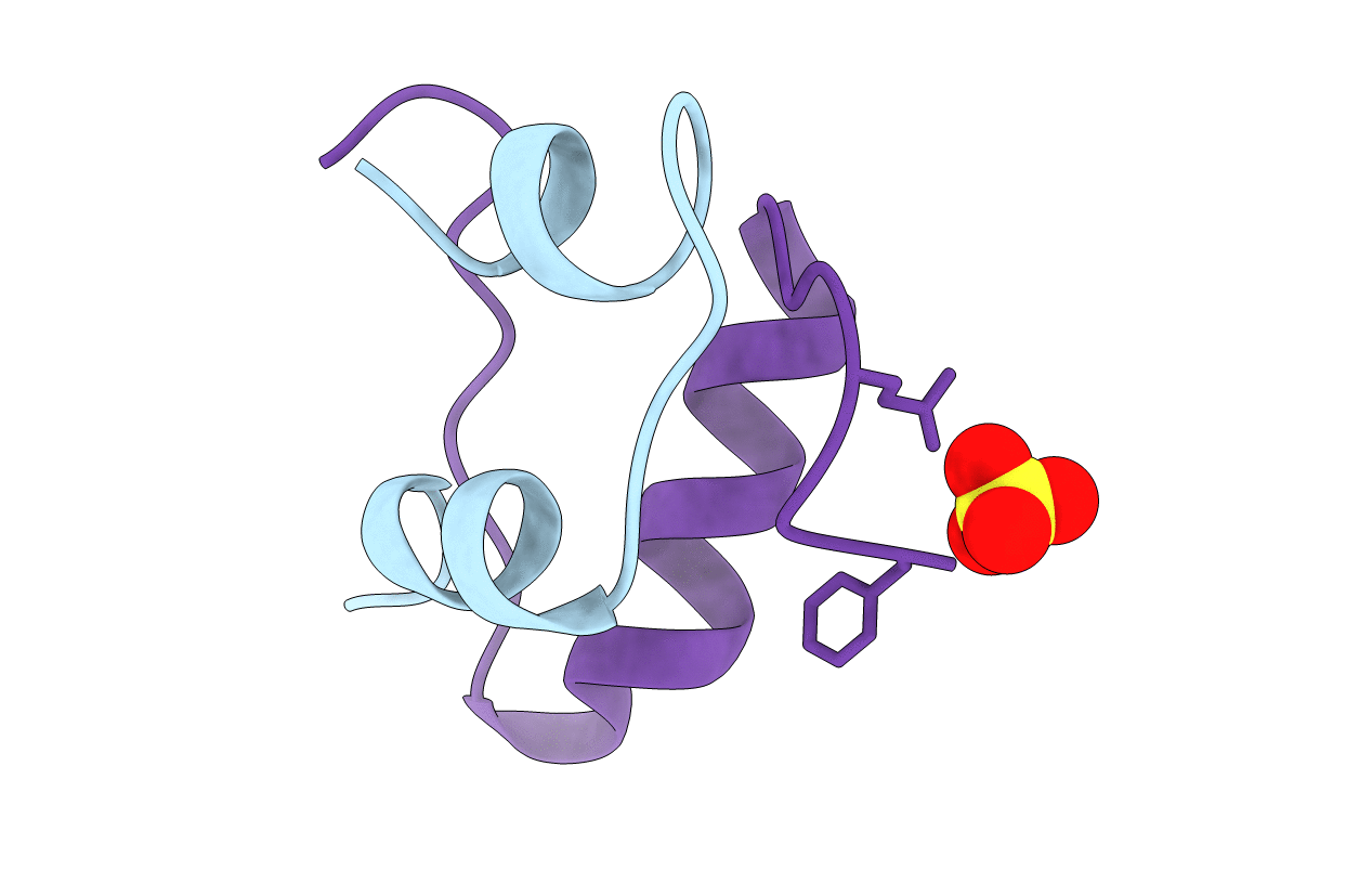 1B2E image