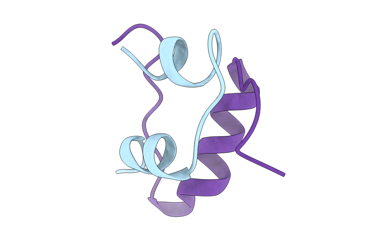 1B2G image