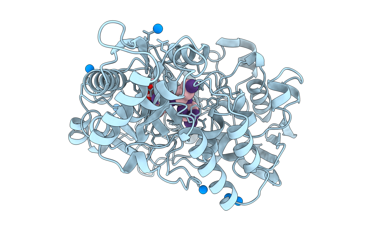 1B2H image