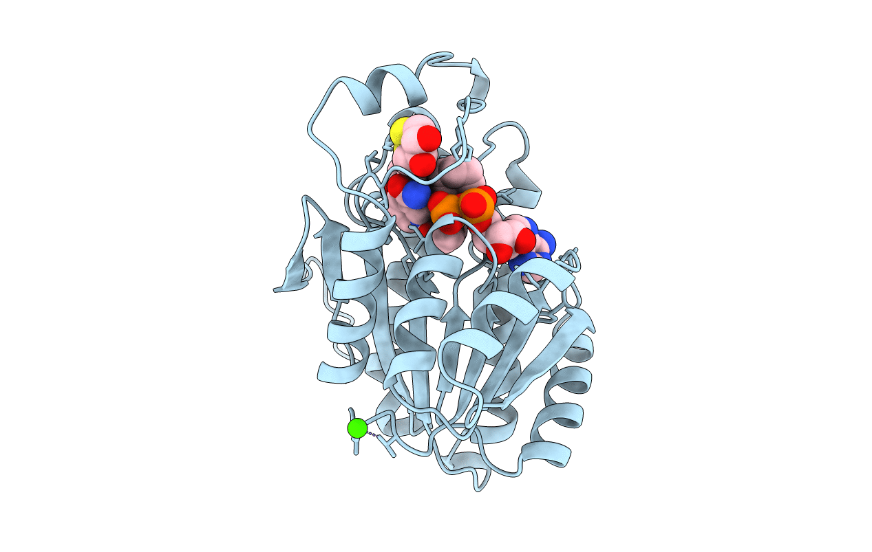 1B2L image