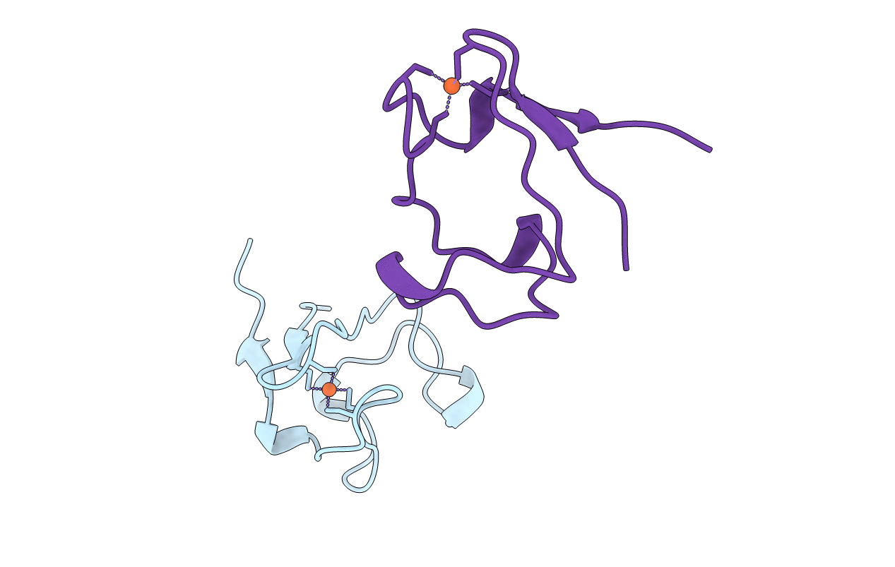 1B2O image