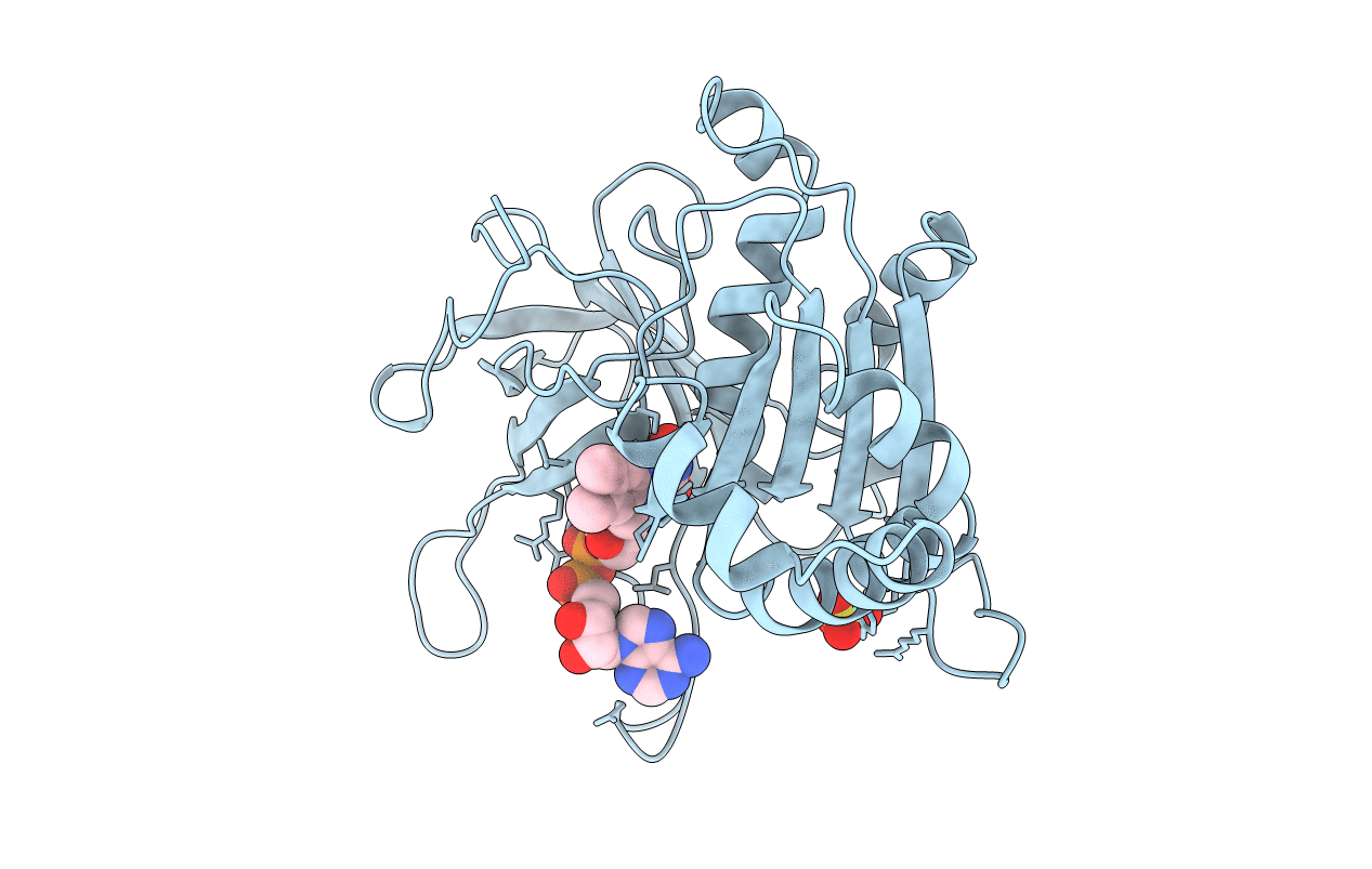 1B2R image