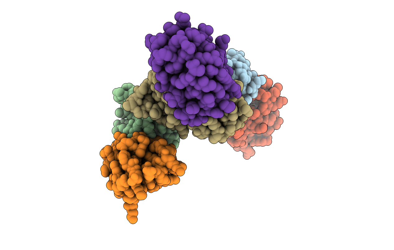 1B2U image