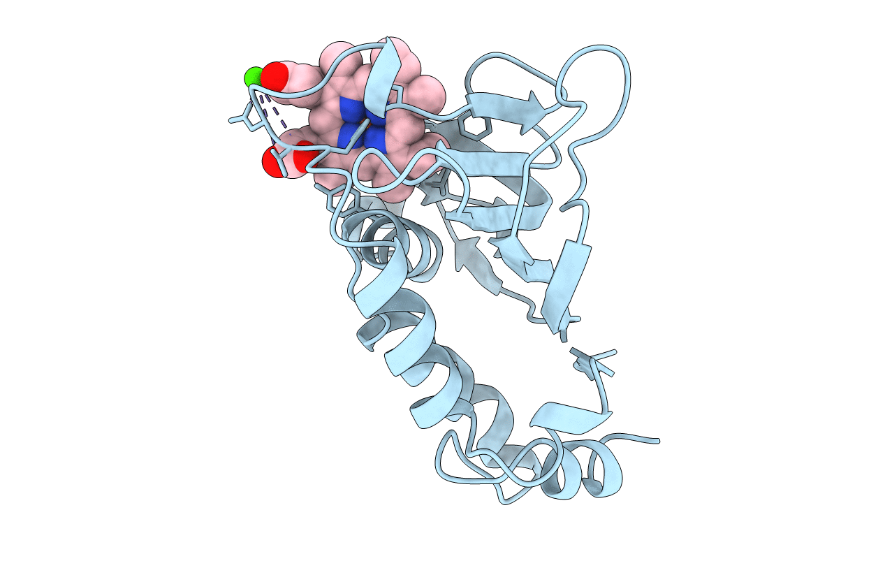 1B2V image