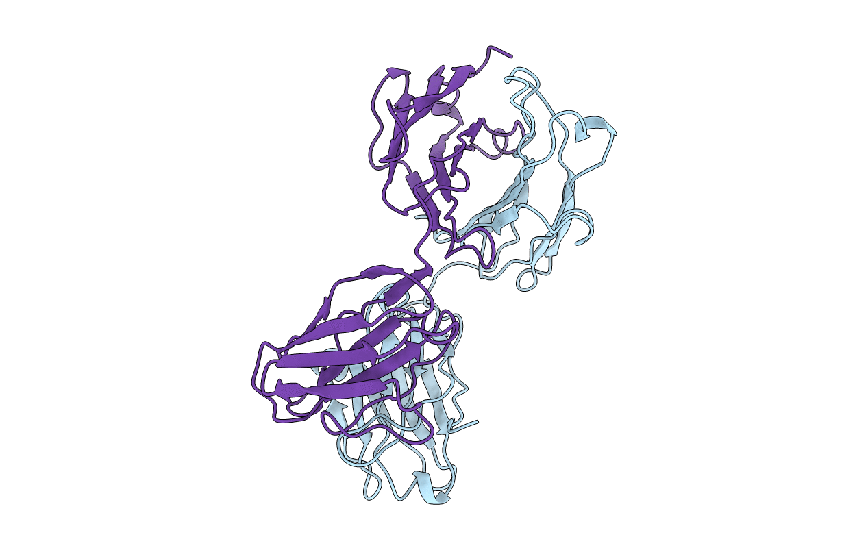 1B2W image