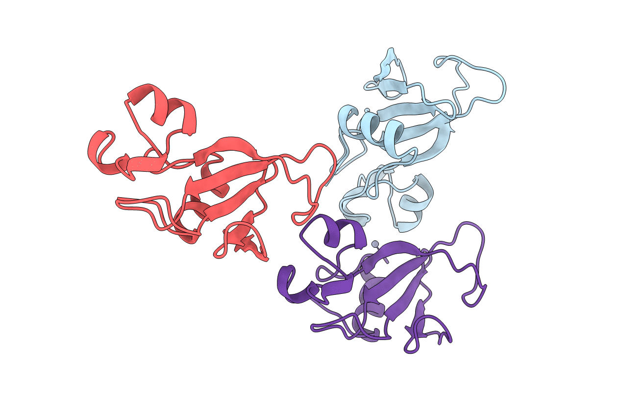1B2X image