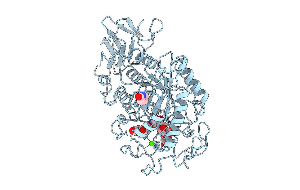 1B2Y image
