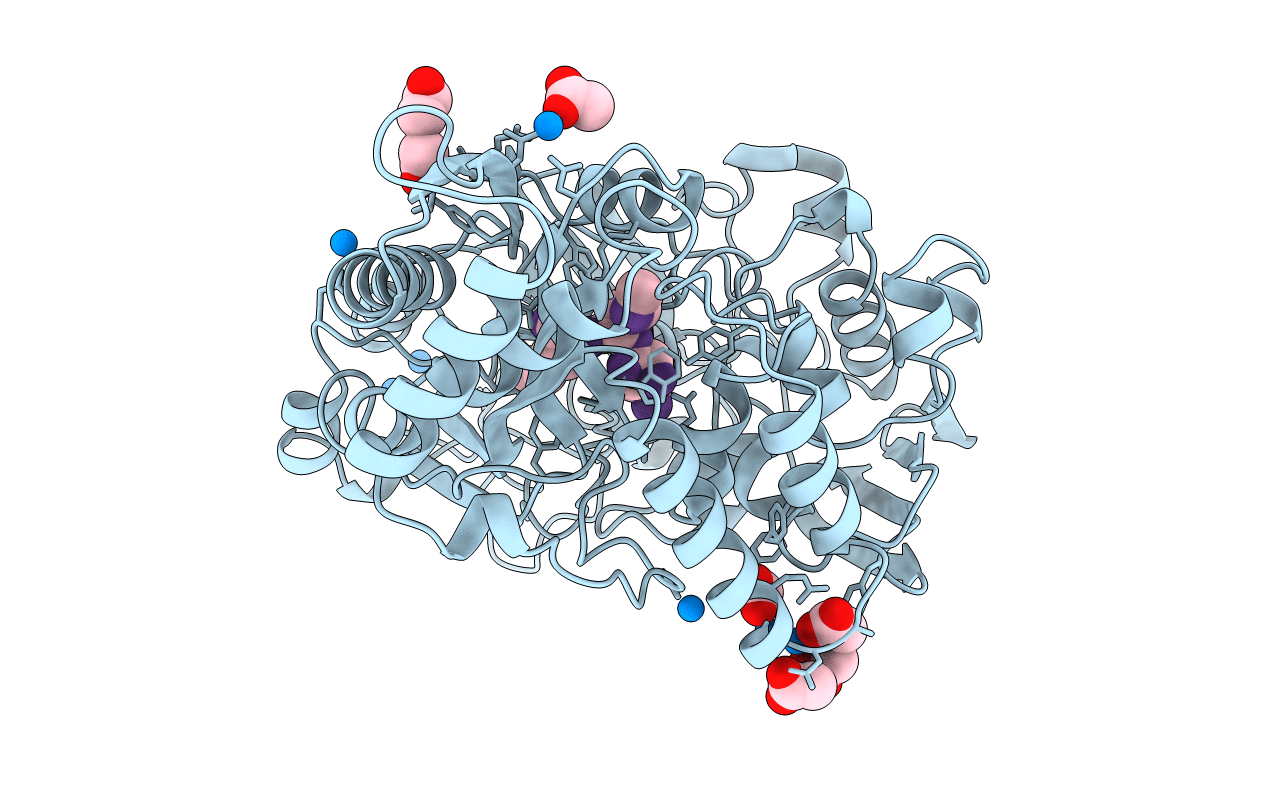 1B32 image