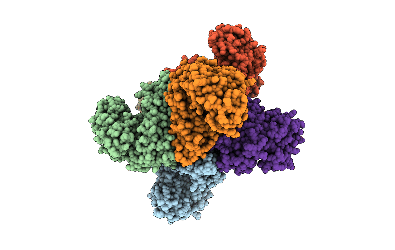 1B3B image