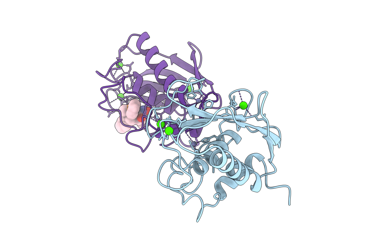 1b3d image