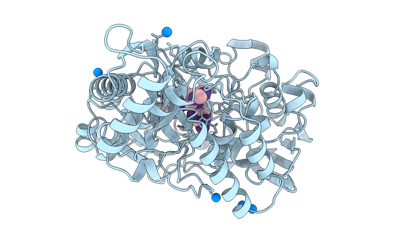 1B3F image