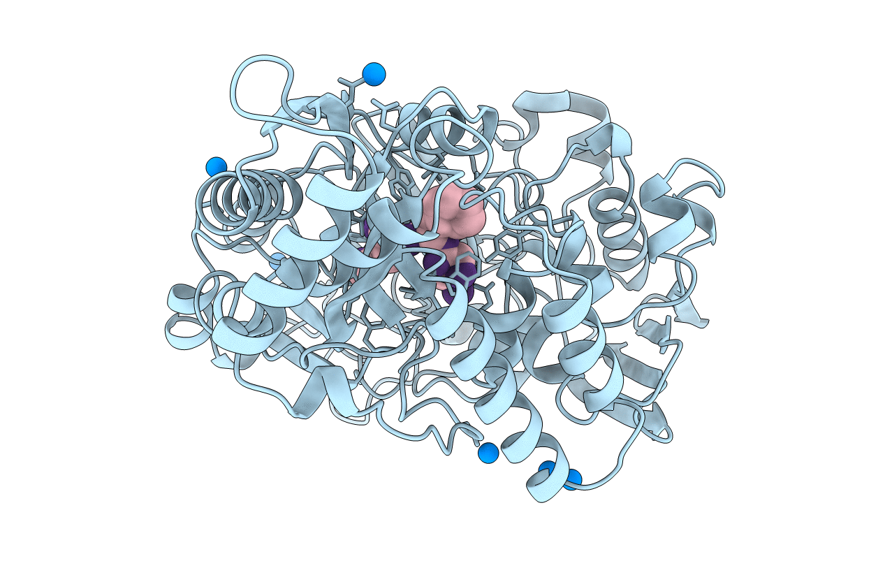 1B3H image