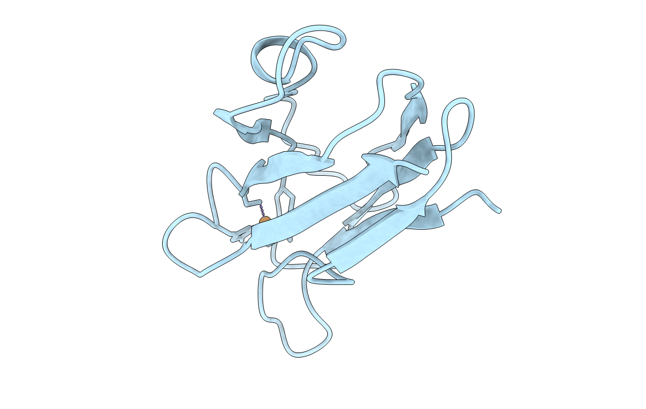 1B3I image