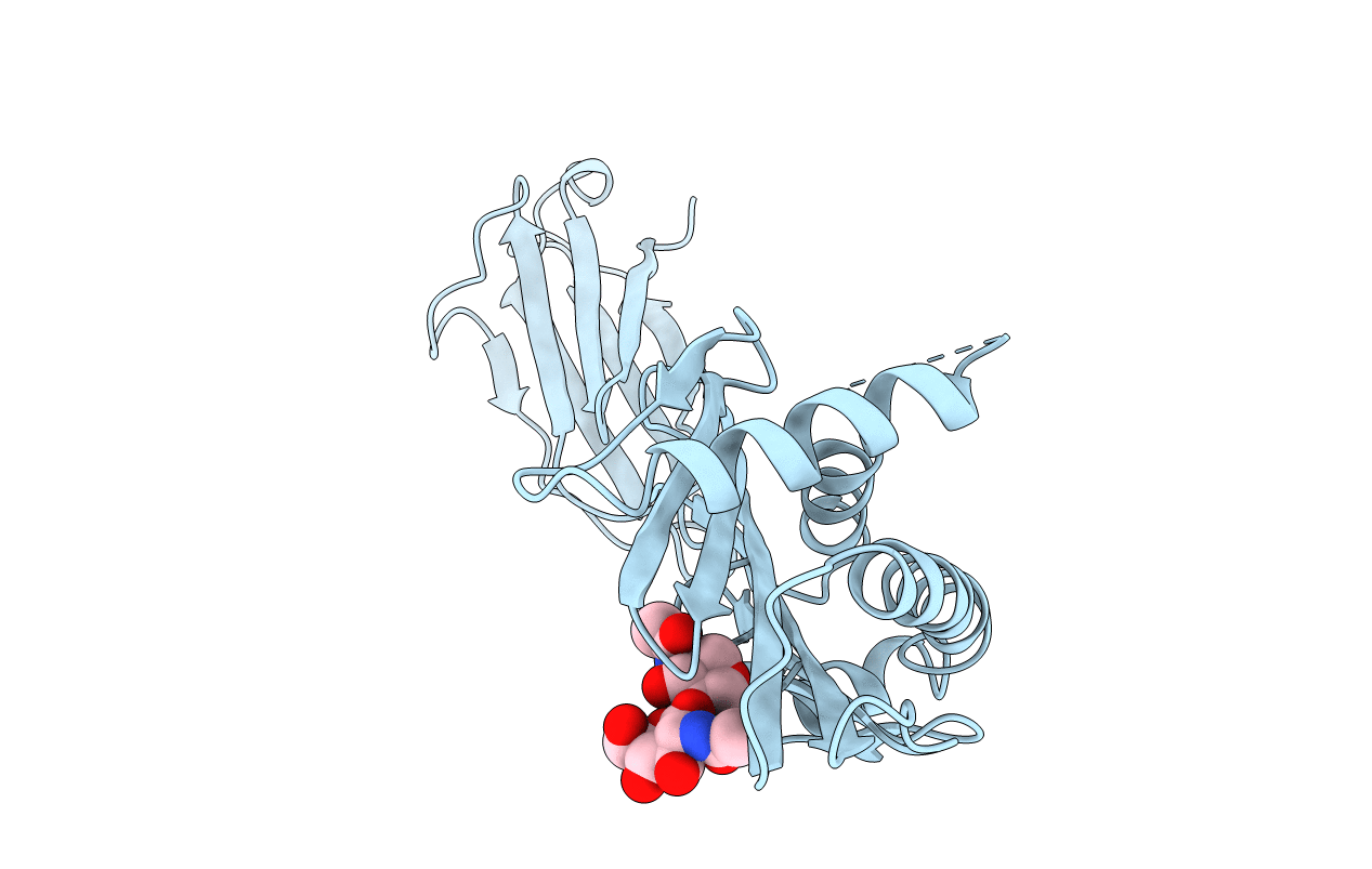 1B3J image