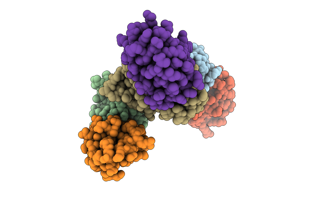 1B3S image