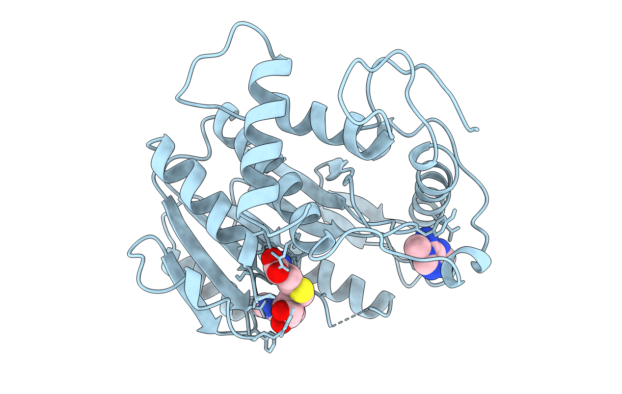 1B42 image