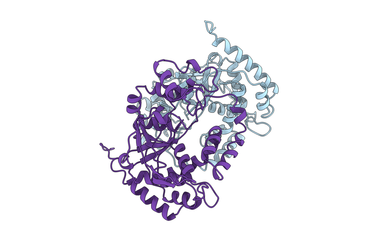 1B43 image
