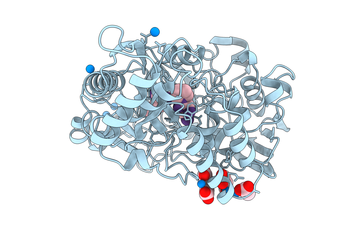 1B46 image