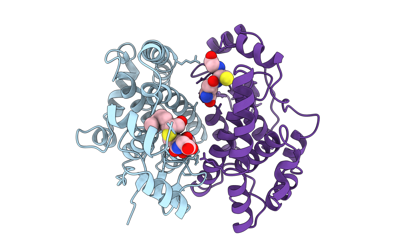 1B48 image