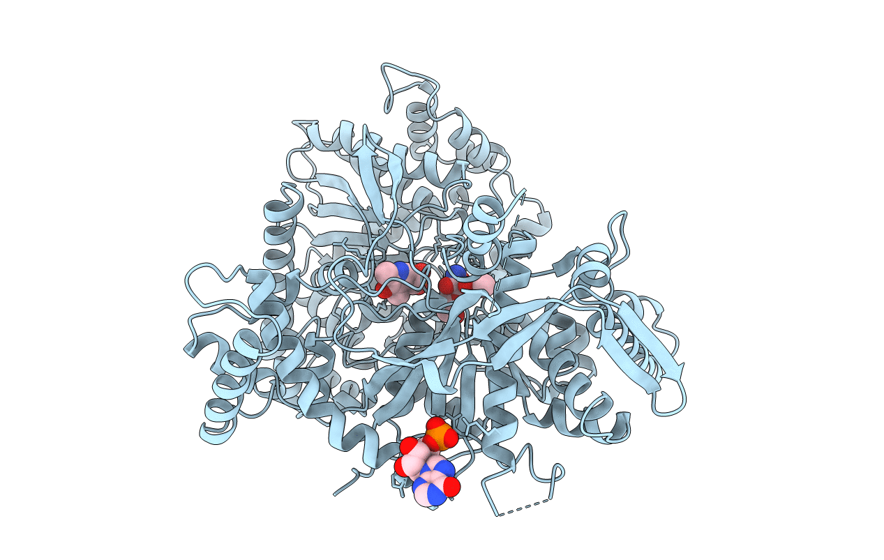 1B4D image