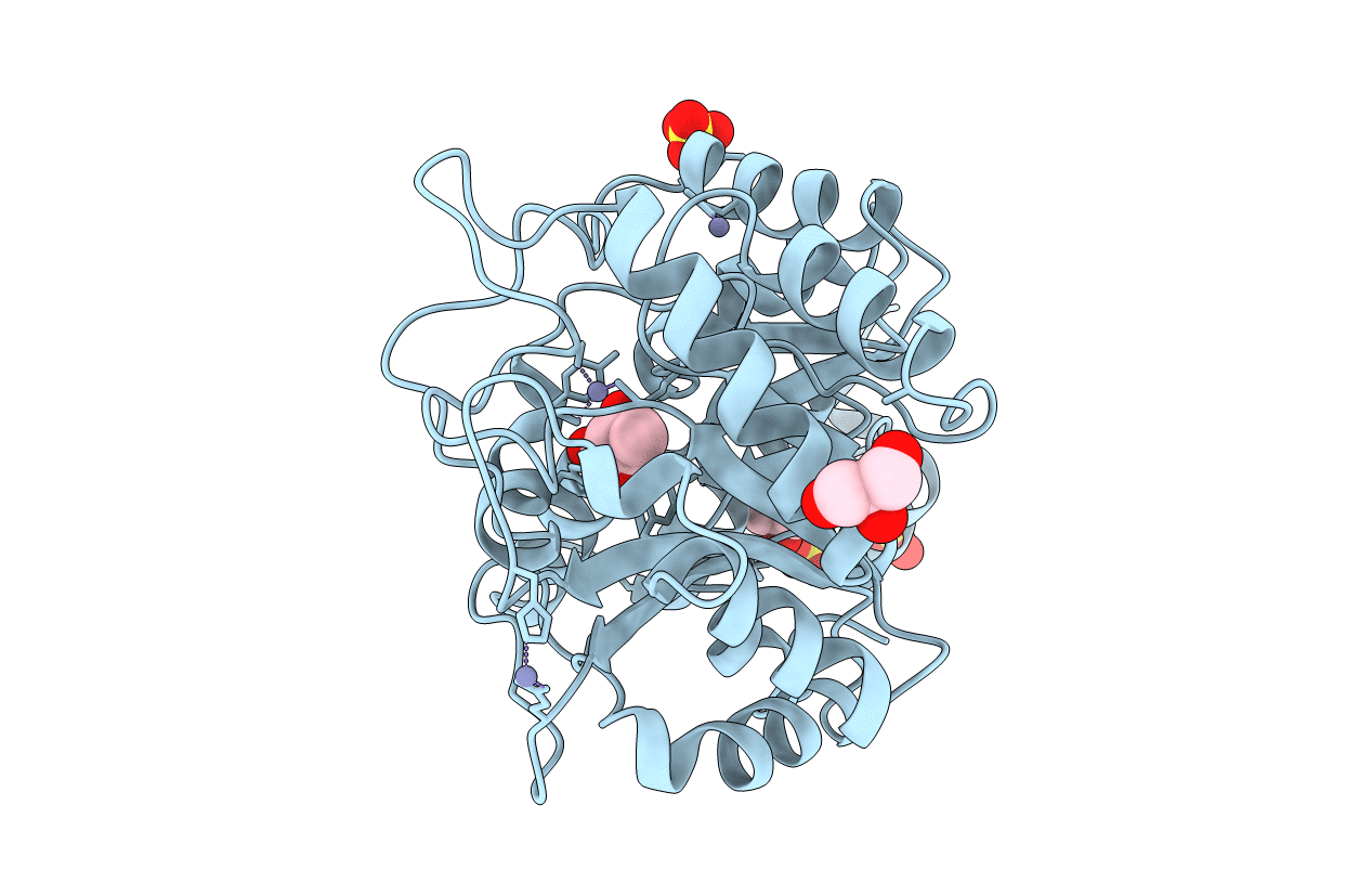 1B4E image