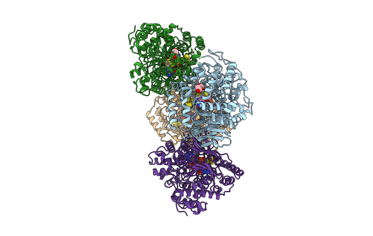 1B4N image