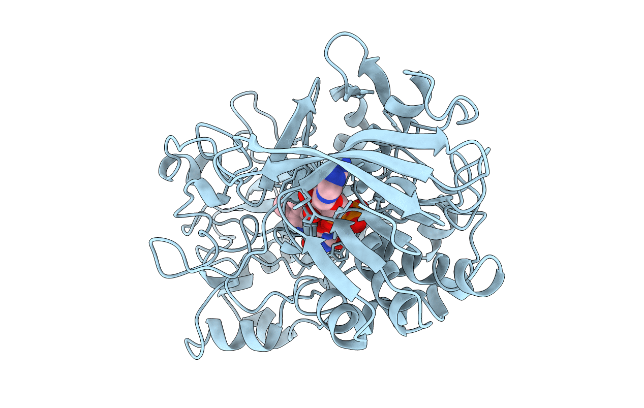 1B4V image