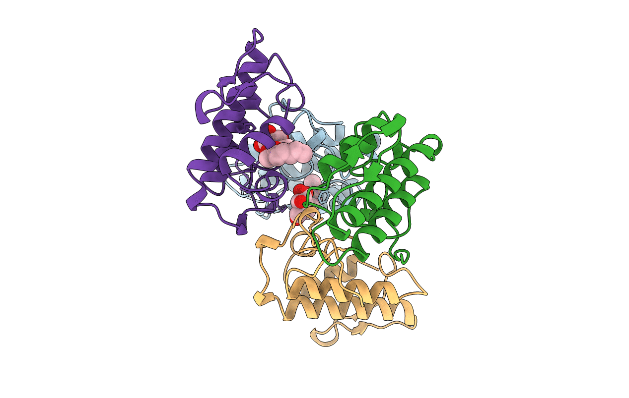 1B4W image