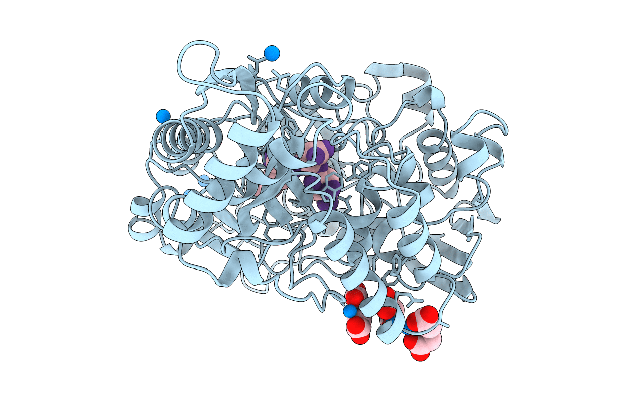 1B4Z image