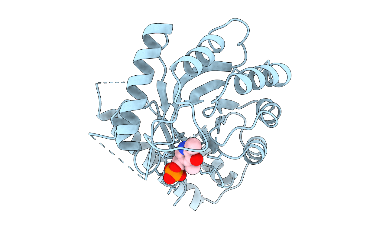 1B54 image
