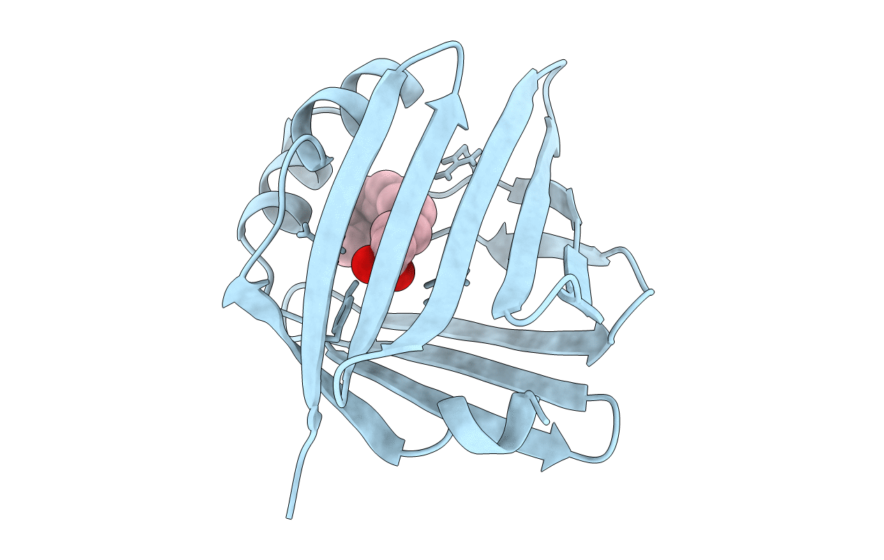 1B56 image