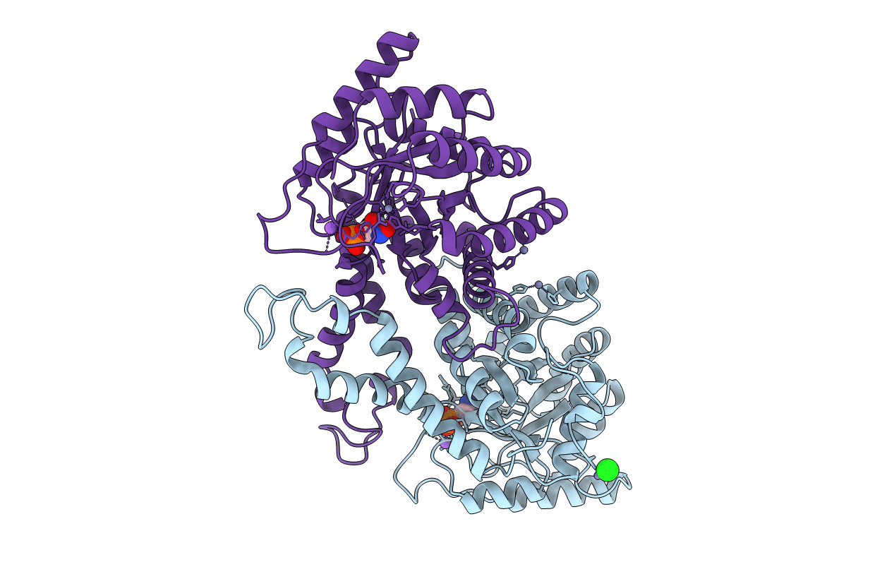 1B57 image