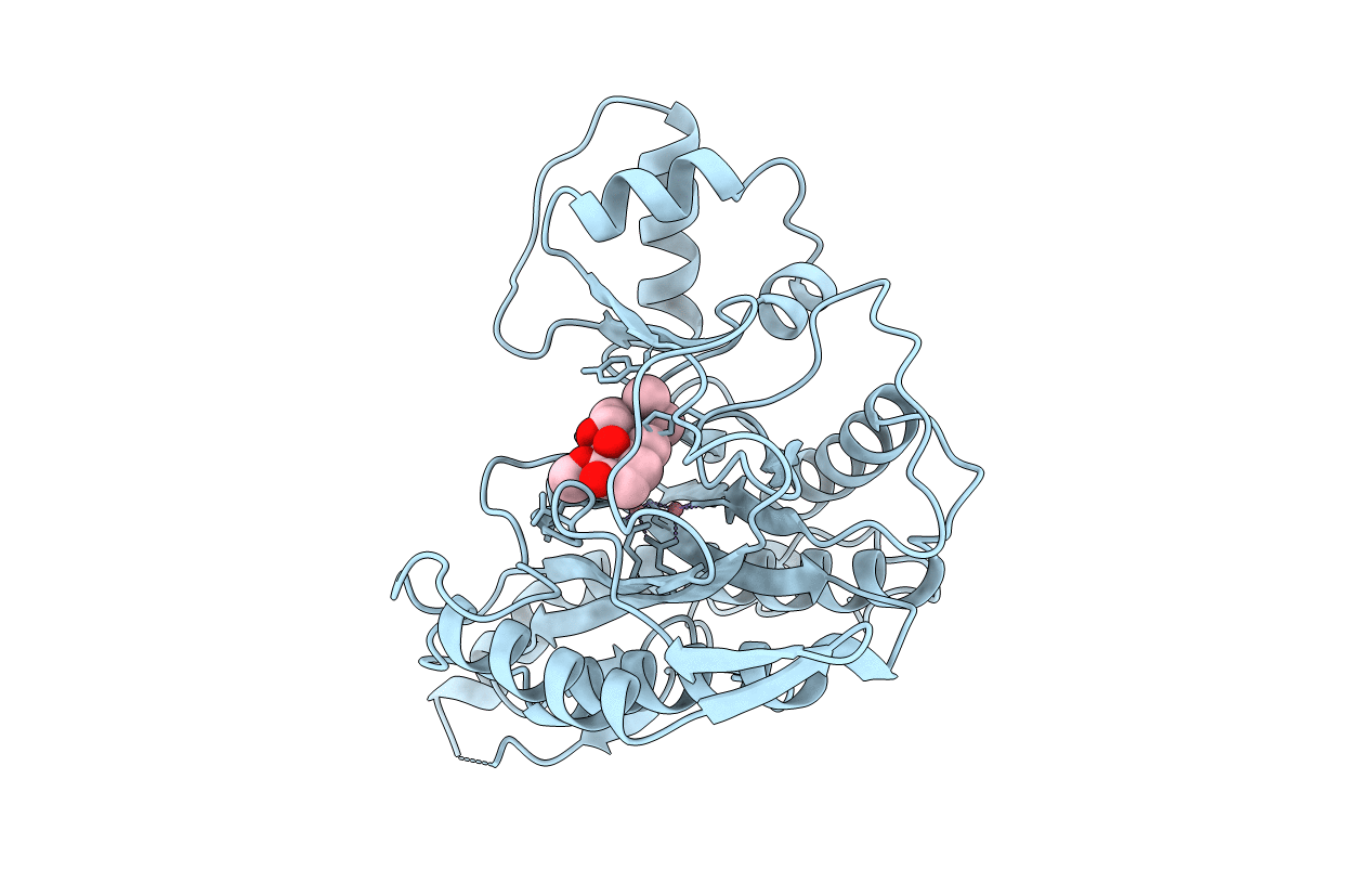 1B59 image