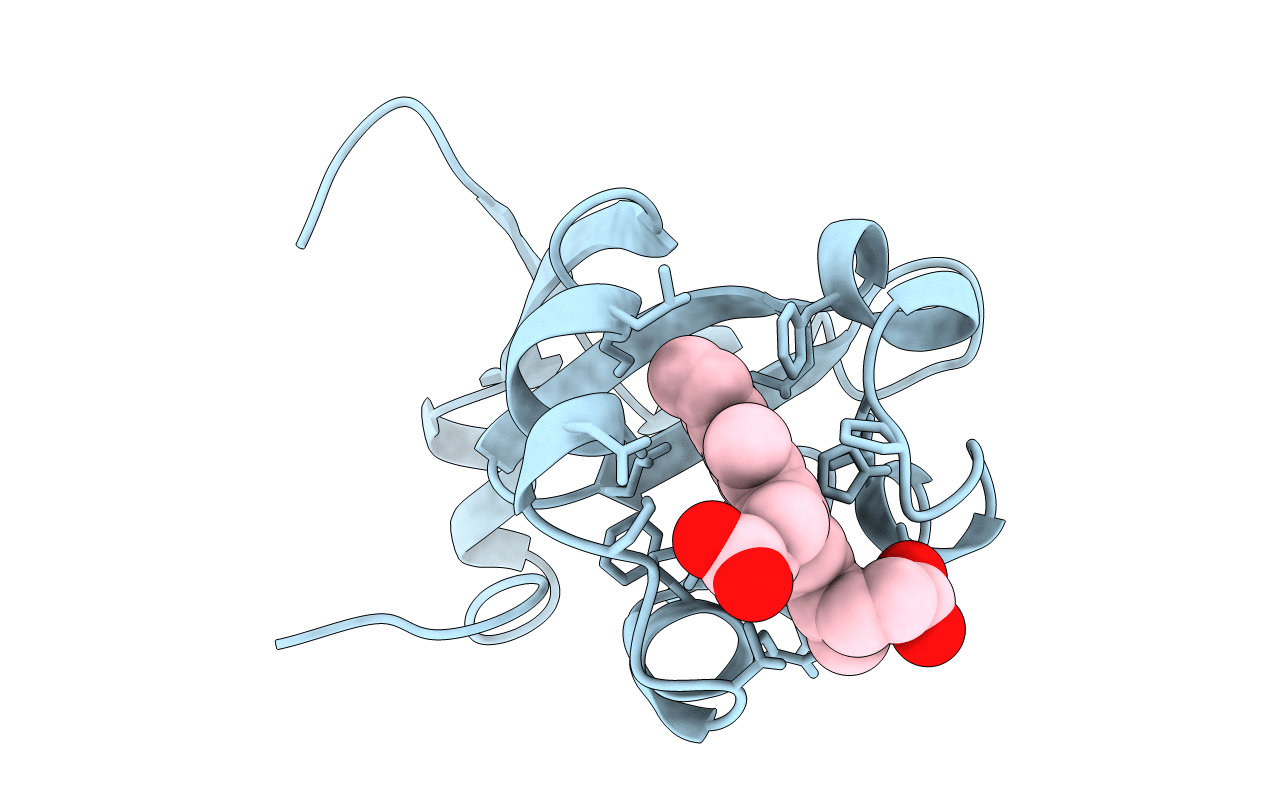 1B5B image